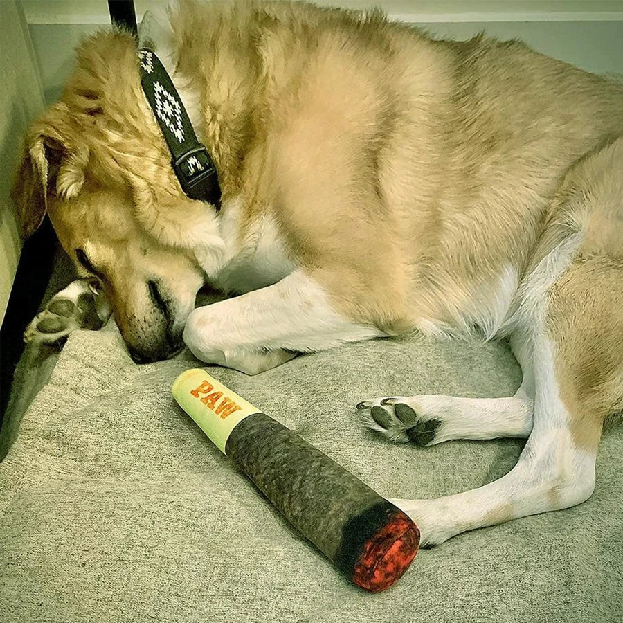Interactive Dog Toy - Cigar Plush