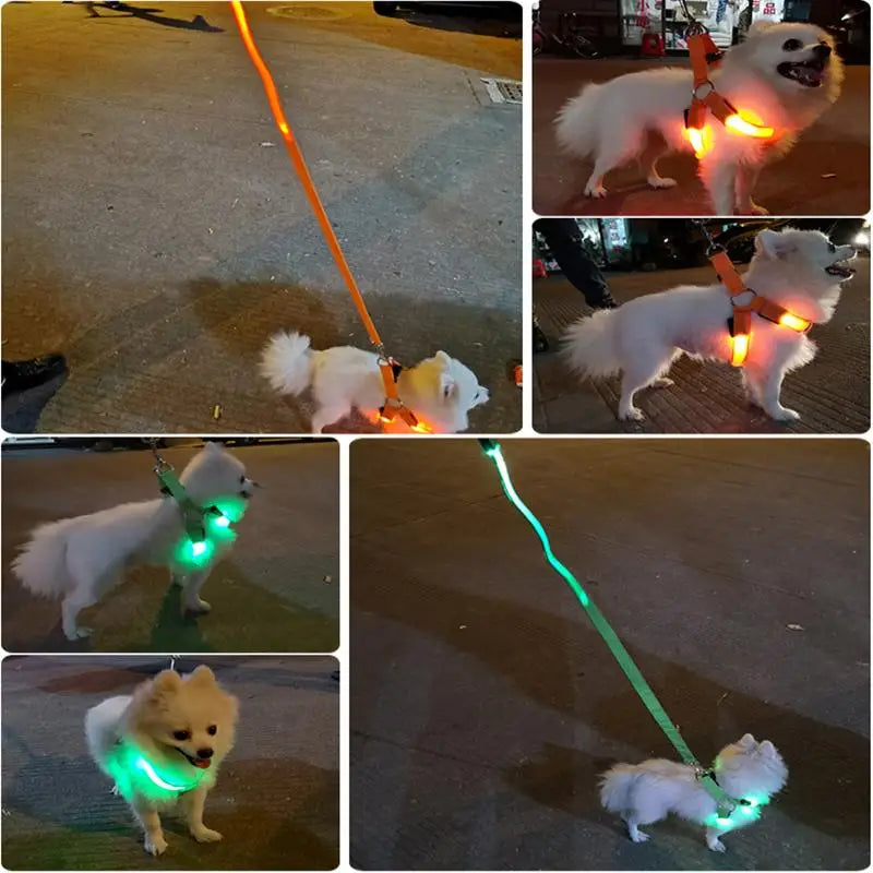 Led Dog Harness