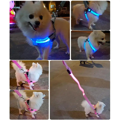 Led Dog Harness
