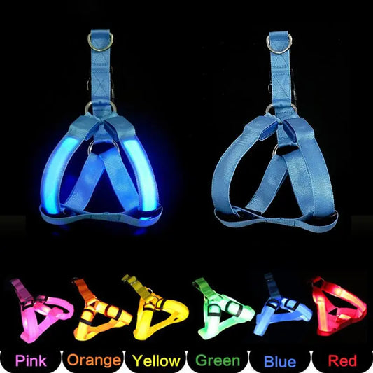 Led Dog Harness